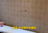 上海娱乐资讯：一觉醒来，家里被洗劫